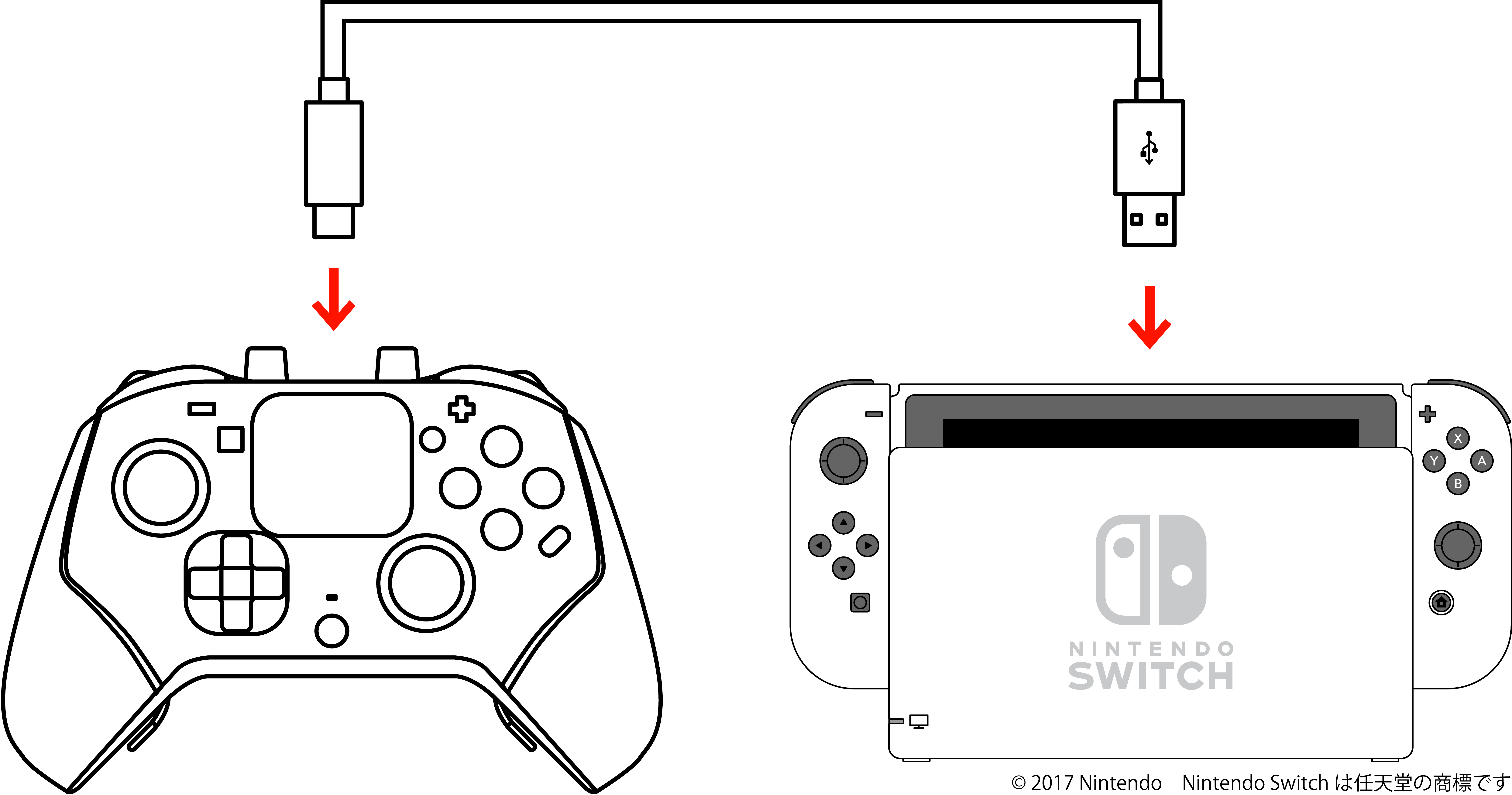 Nintendo Switch™本体の電源がOFFの状態で、Nintendo Switch™ ドックのUSB端子に専用のUSBケーブルで接続してください